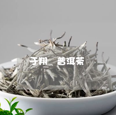 于翔 普洱茶/2023042674462